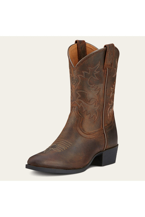 Ariat 4lr boots sale