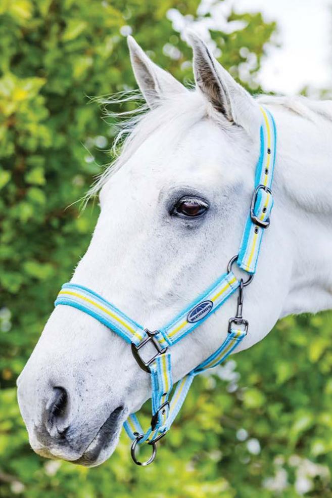 WEATHERBEETA COORDINATE HEADCOLLAR