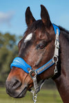 WEATHERBEETA PRIME PLUS HEADCOLLAR AND LEAD SET