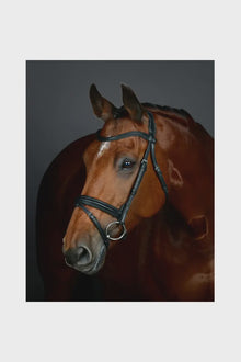  COLLEGIATE COMFITEC OPULUX PLAIN PADDED HANOVERIAN FLASH BRIDLE