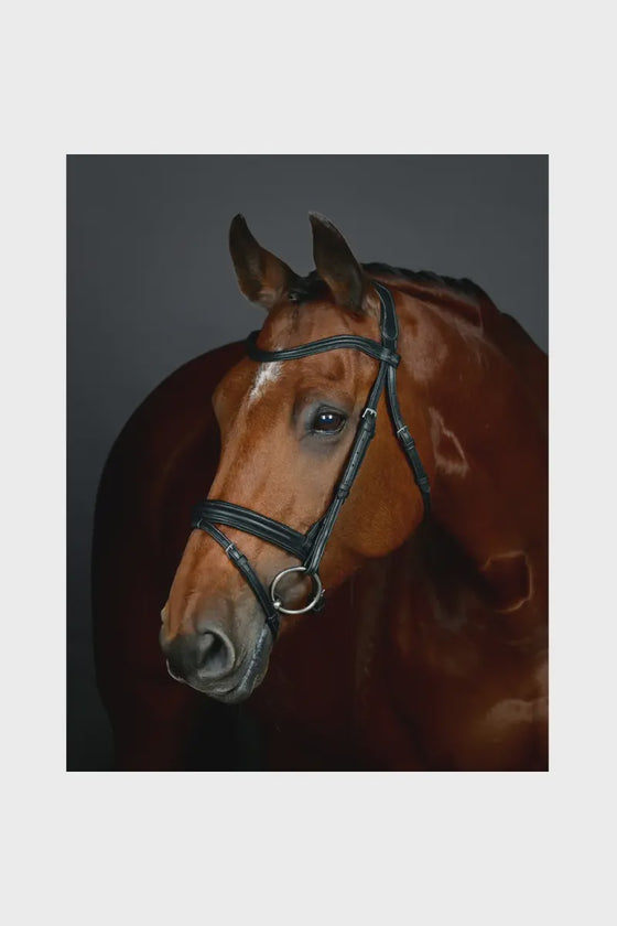 COLLEGIATE COMFITEC OPULUX PLAIN PADDED HANOVERIAN FLASH BRIDLE