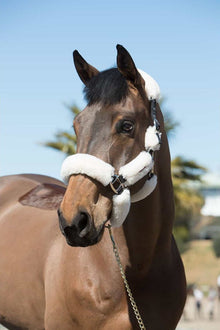  LeMieux Merino+ Fully Lined Halter - 2 Colours