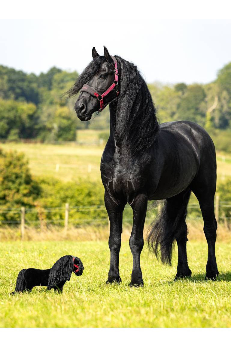 LeMieux Toy Pony Spike