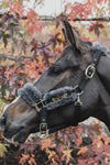 KENTUCKY NYLON SHEEPSKIN HALTER