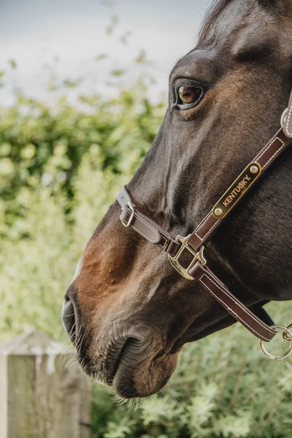 Kentucky Leather Halter Flexible