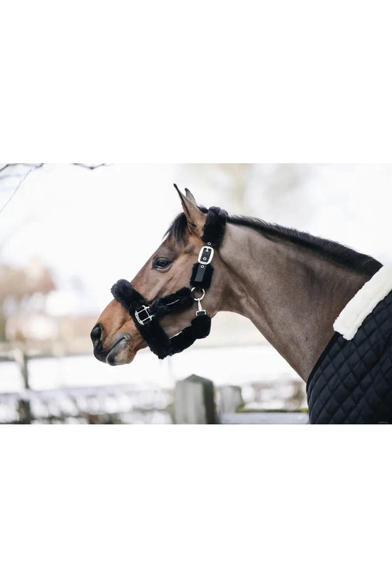 Kentucky Sheepskin Shipping Halter