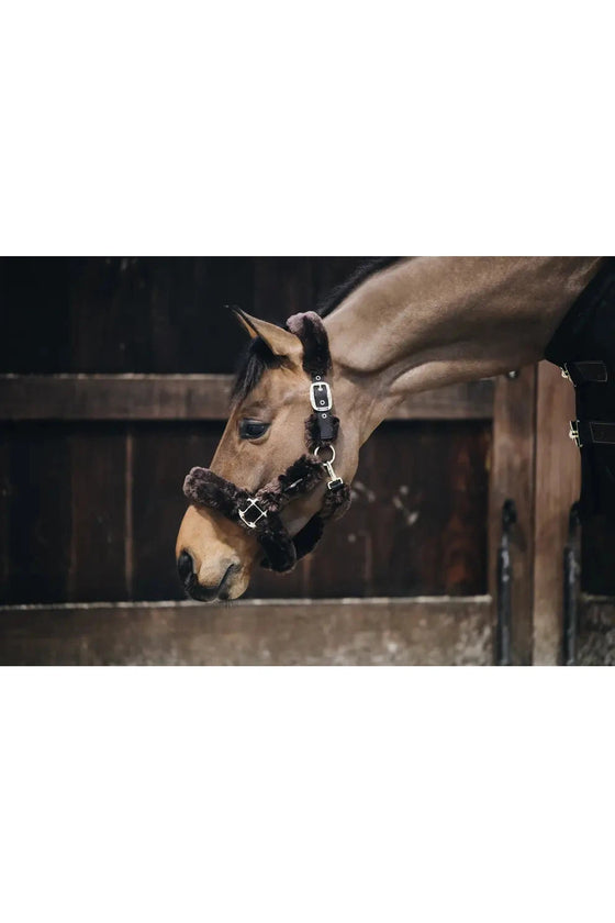 Kentucky Sheepskin Shipping Halter