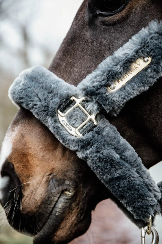 Kentucky Sheepskin Shipping Halter