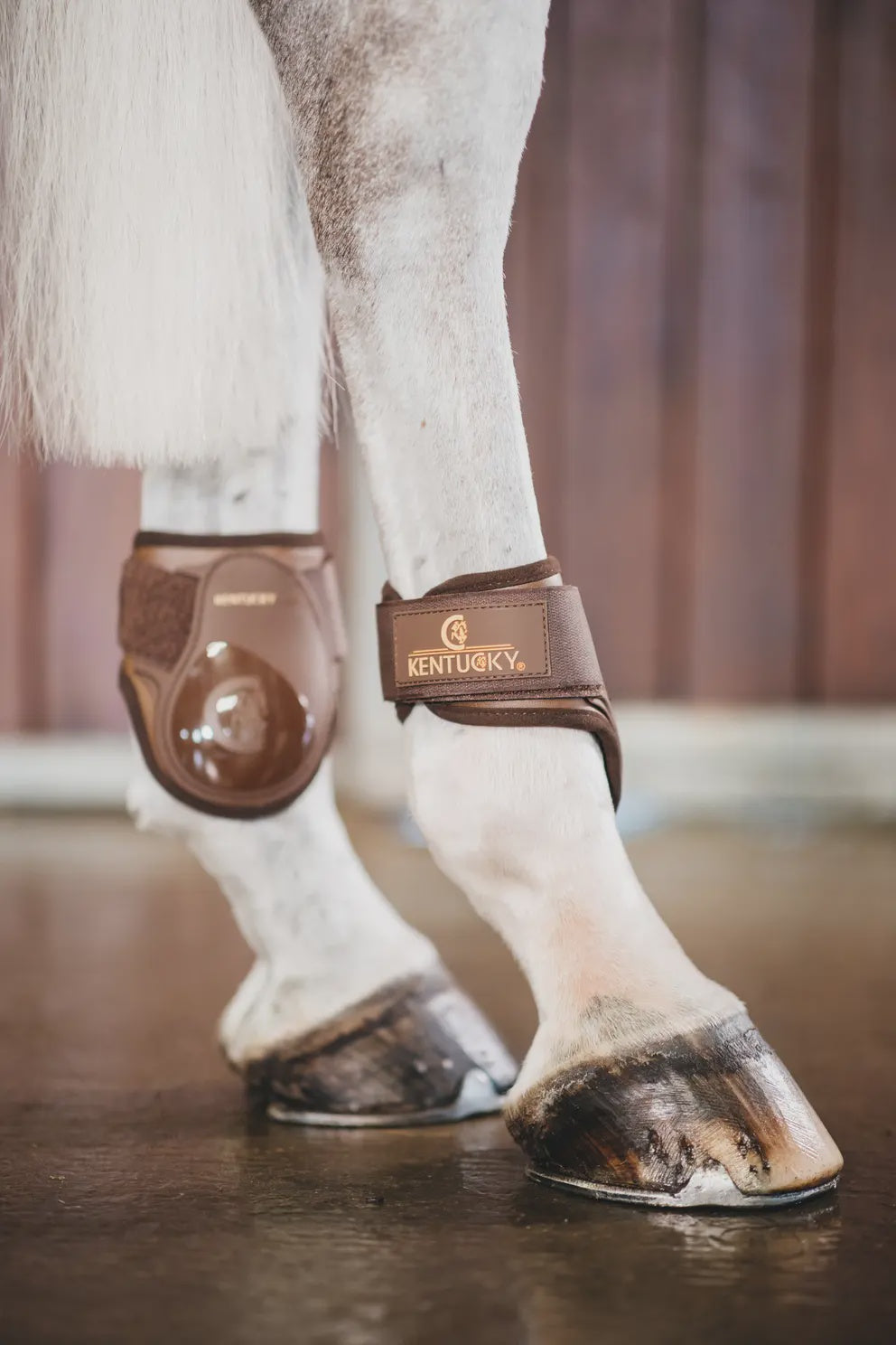 KENTUCKY YOUNG HORSE FETLOCK BOOTS