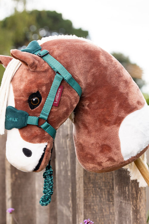 LeMieux Hobby Horse Flash – Canterbury Equestrian