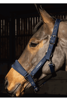  San Francisco Headcollar