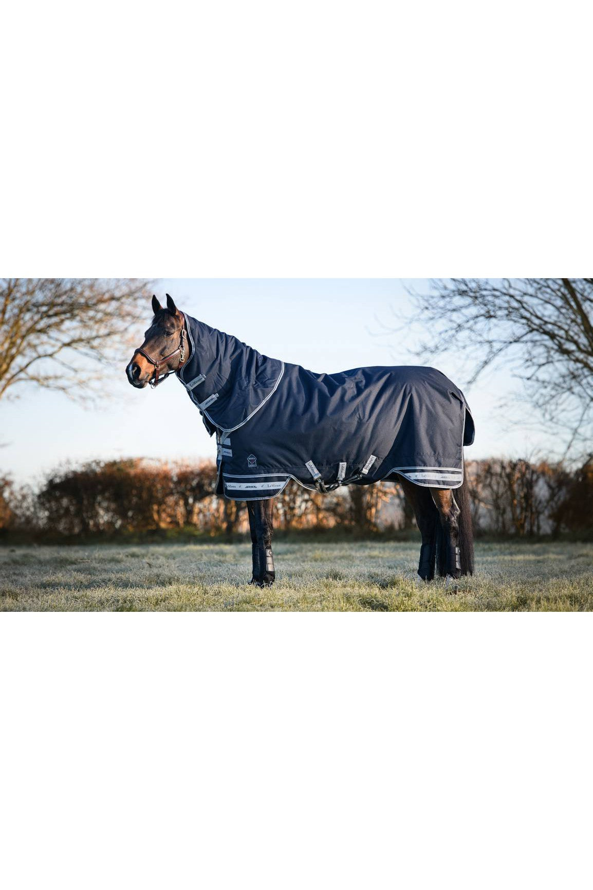 LeMieux Arika Storm-Tek Rug 350g