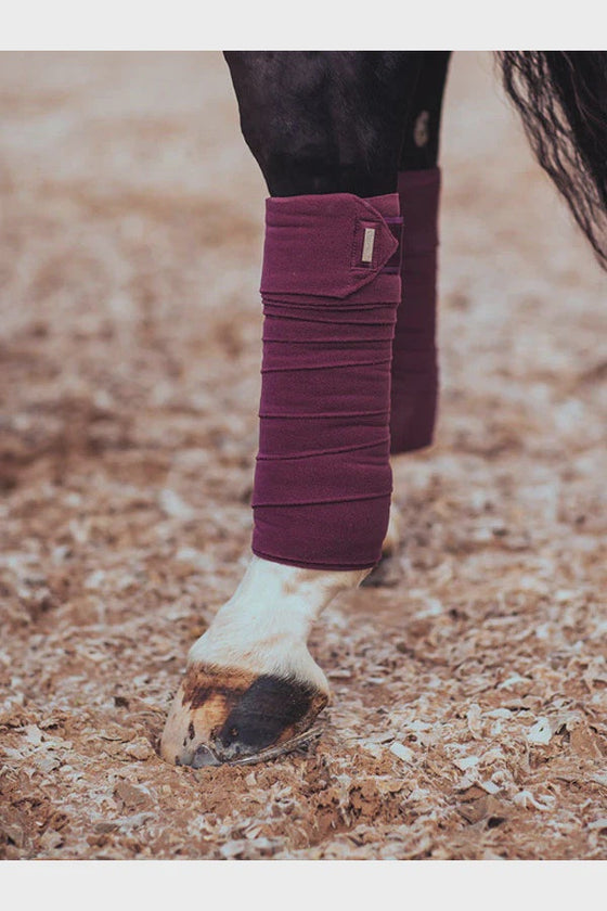 Equestrian Stockholm Purple White Edge Bandages