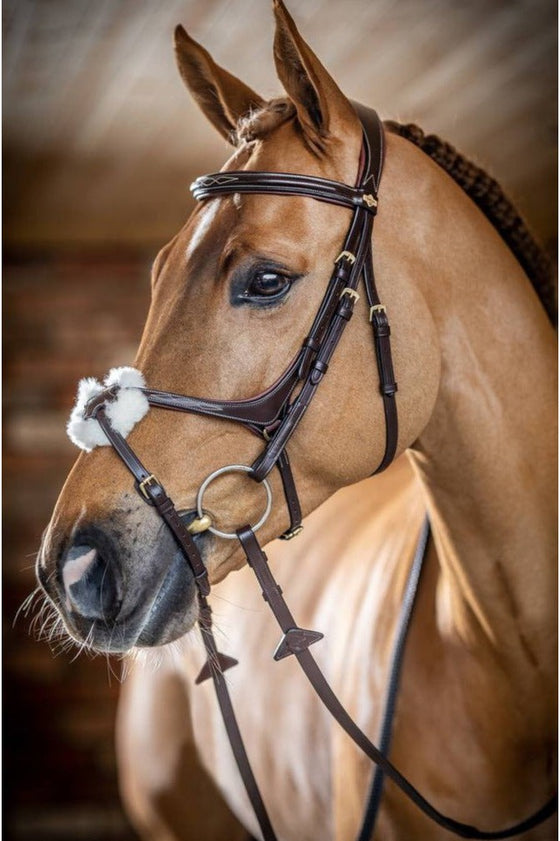 LeMieux Figure 8 Bridle Havana Bridle