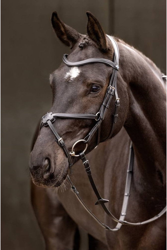 LeMieux Arika Figure 8 Bridle Black/Silver