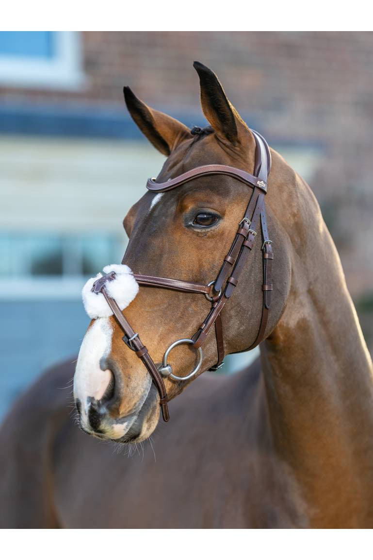 LeMieux Arika Figure 8 Bridle Havana/Silver