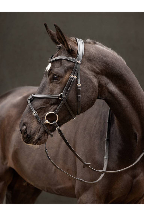 LeMieux Arika Figure 8 Bridle Black/Silver