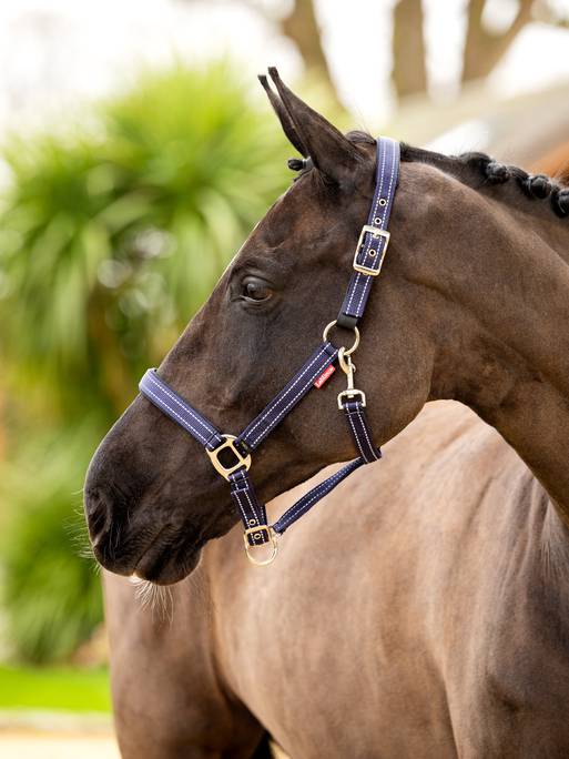 LeMieux Essential Safety Yard Headcollar Walnut or Navy