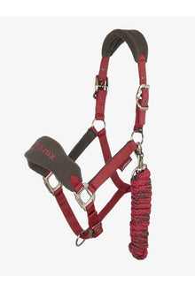  LeMieux Vogue Headcollar and Leadrope Ember