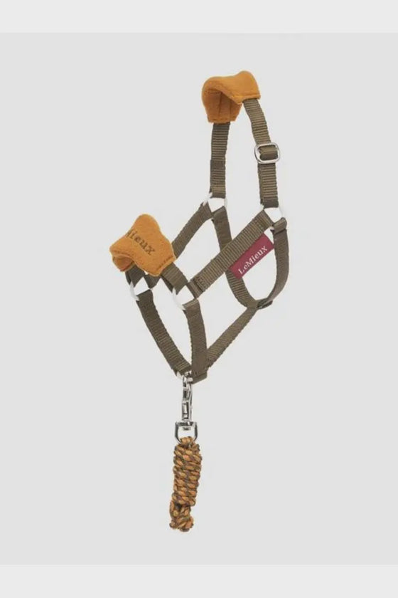 LeMieux Hobby Horse Vogue Headcollar & Leadrope Alpine