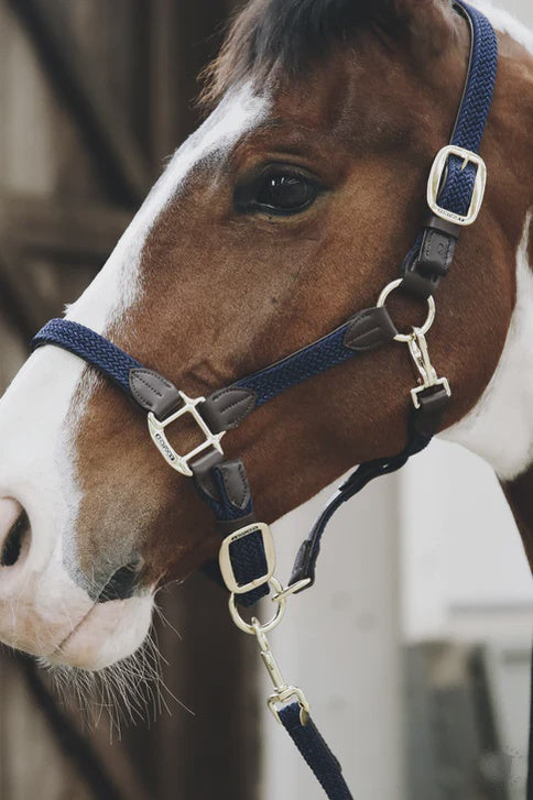 Kentucky PLAITED NYLON HALTER