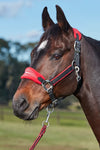 WEATHERBEETA PRIME PLUS HEADCOLLAR AND LEAD SET