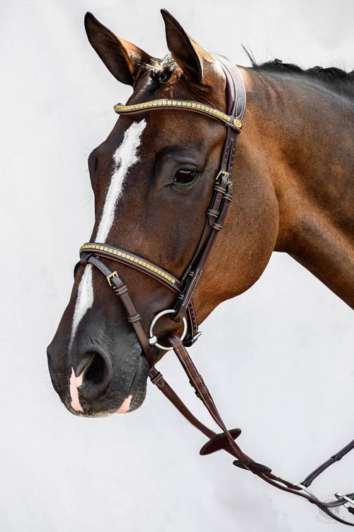 Equestrian quality products for both horses and riders • PS of Sweden